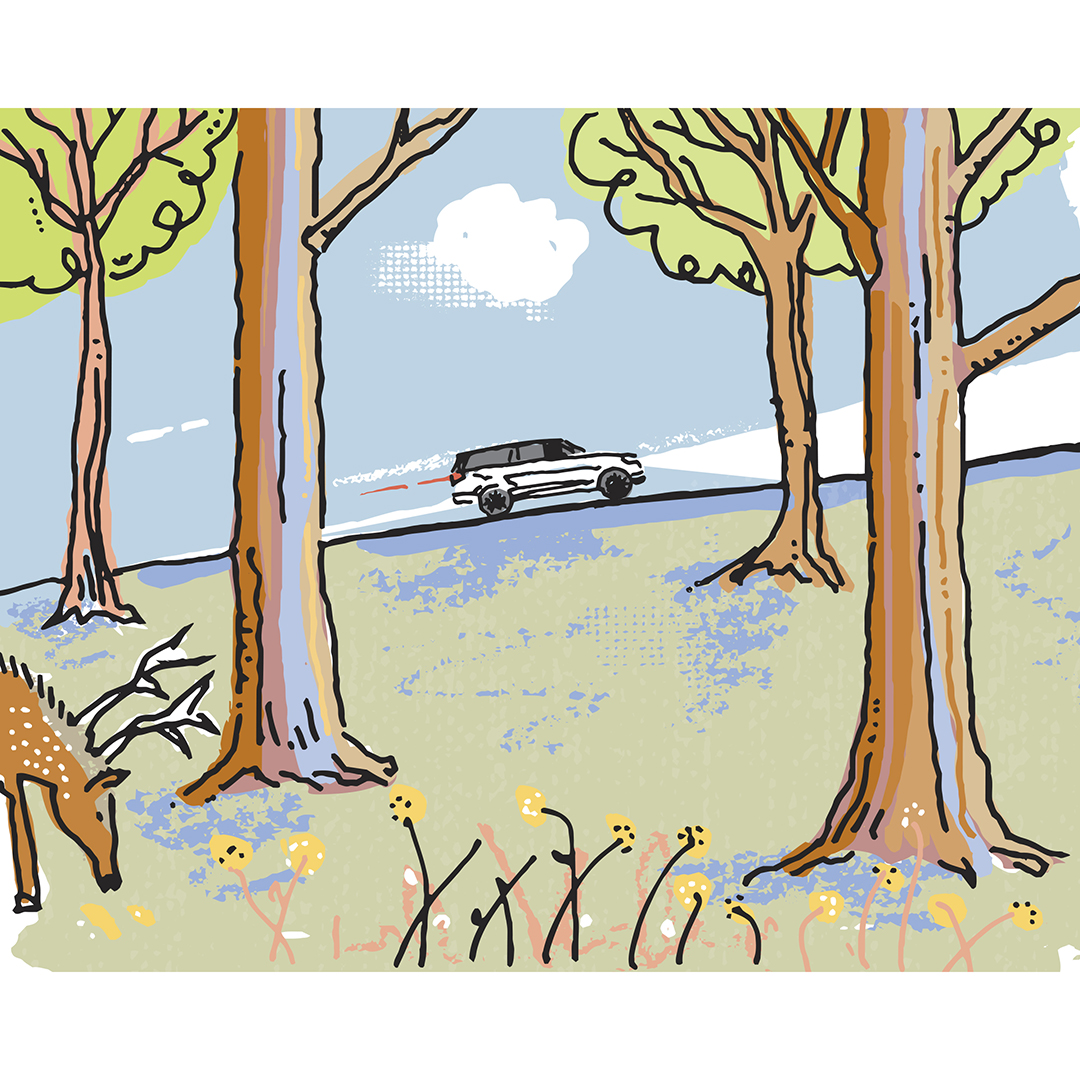 Peter Horjus illustration for Ford Lincoln