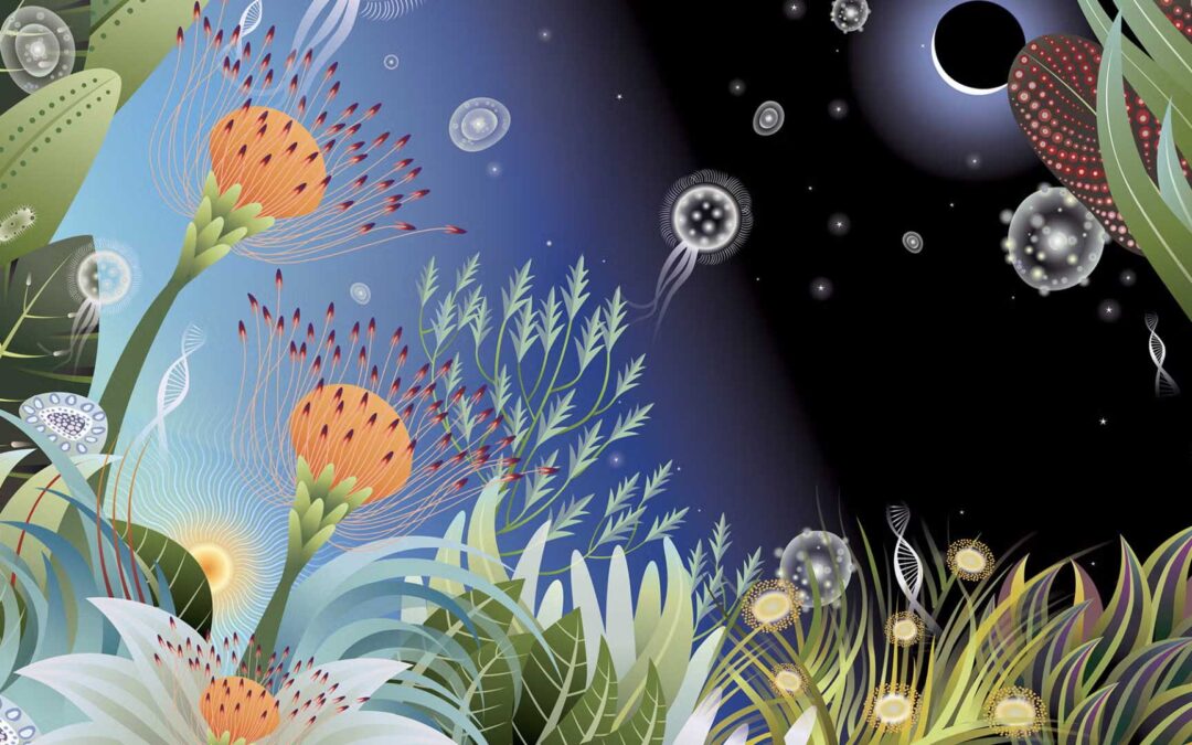 Spring into Summer: University Editions