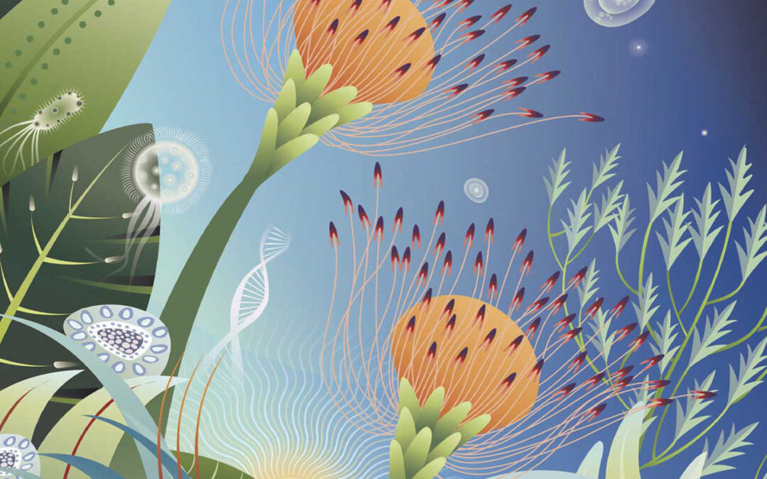 Best of 2025: University