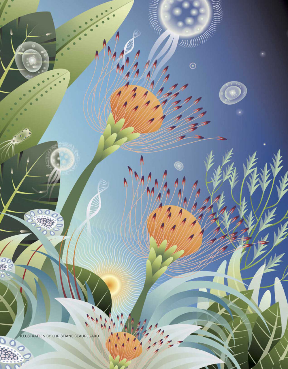 Best of 2025: University - Rapp|Art